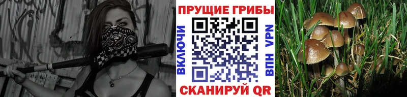 Галлюциногенные грибы MAGIC MUSHROOMS  Кировград 